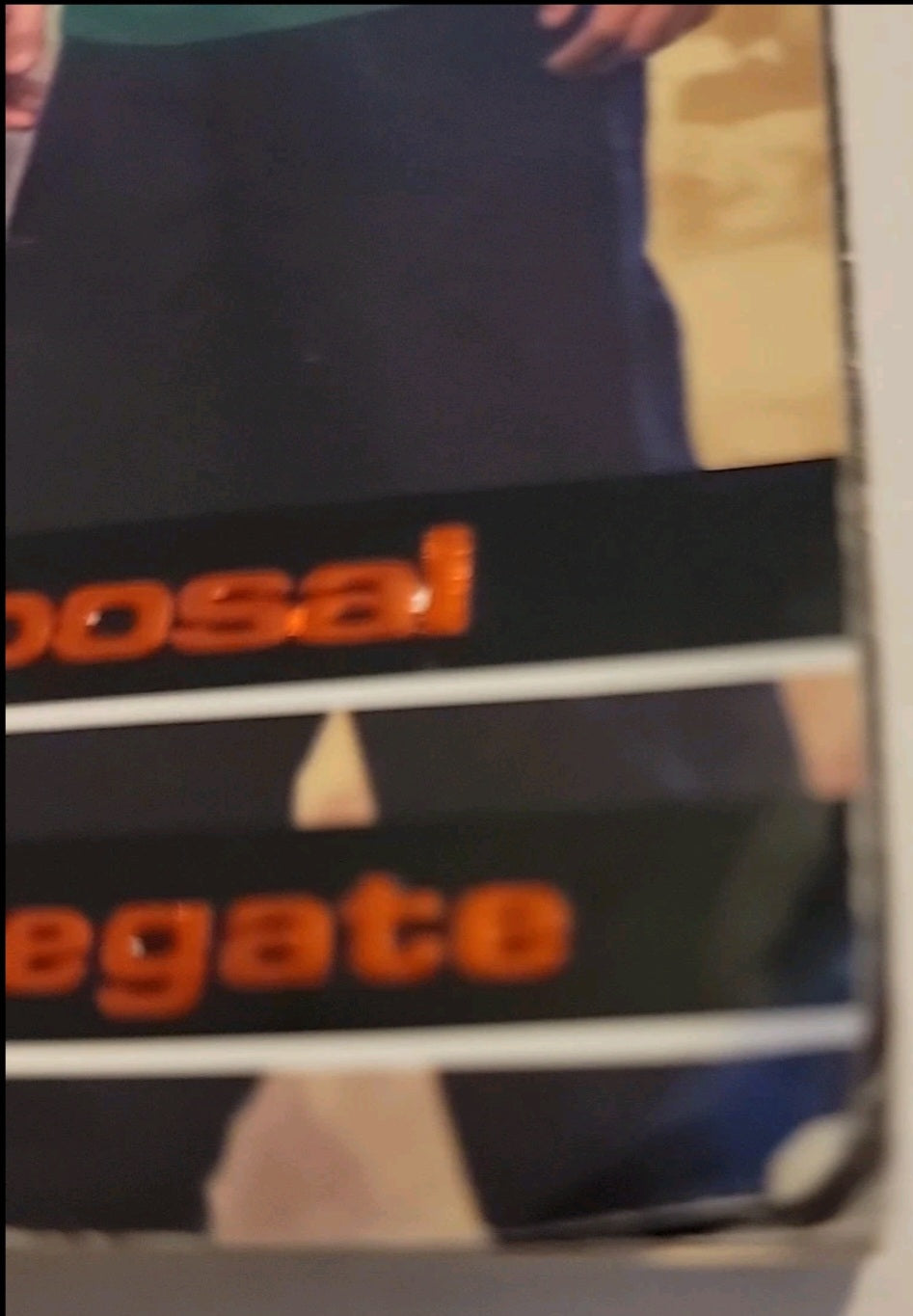 Animorphs #35: The Proposal Paperback 1999