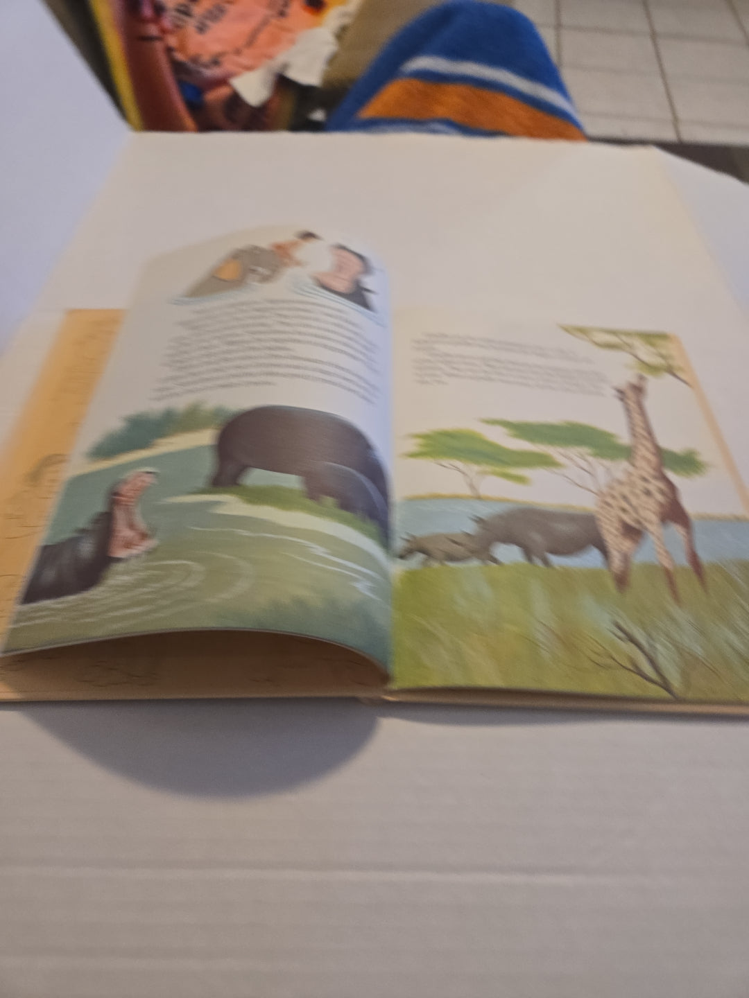 Walt Disney Fun To Learn Book Volume 5 Animals and Their Babies