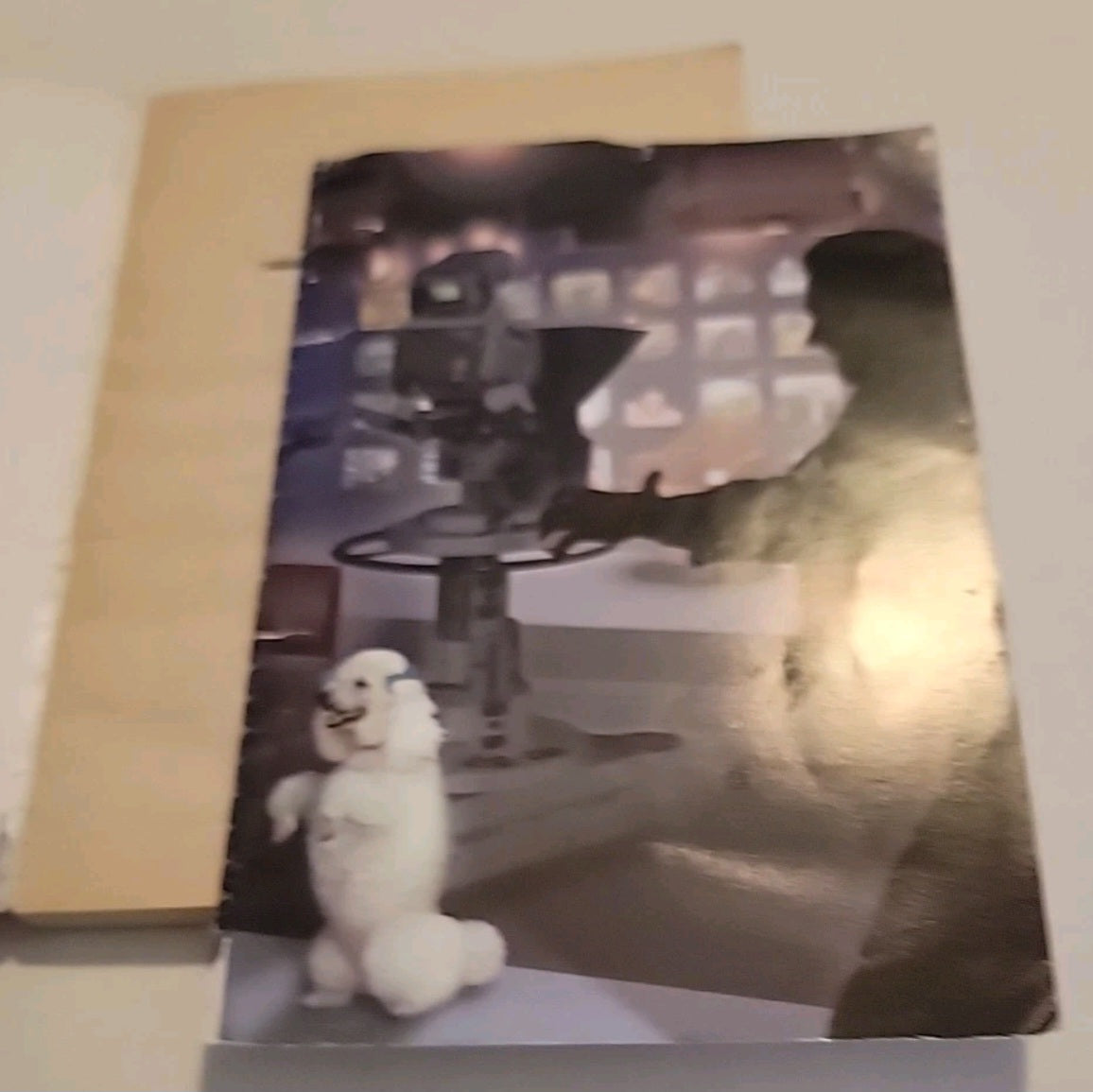 Animorphs #35: The Proposal Paperback 1999