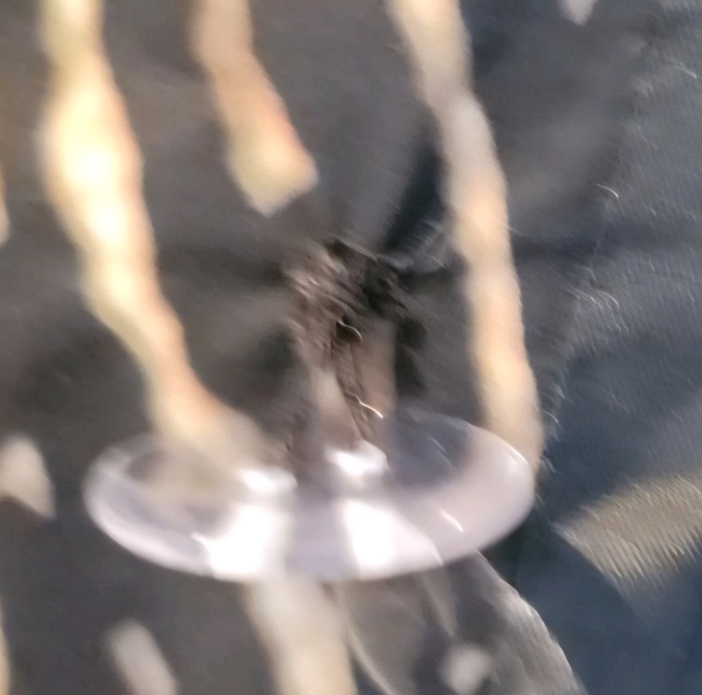 Kenneth Cole New York Animal Print Trench Rain Coat Size Small/Medium