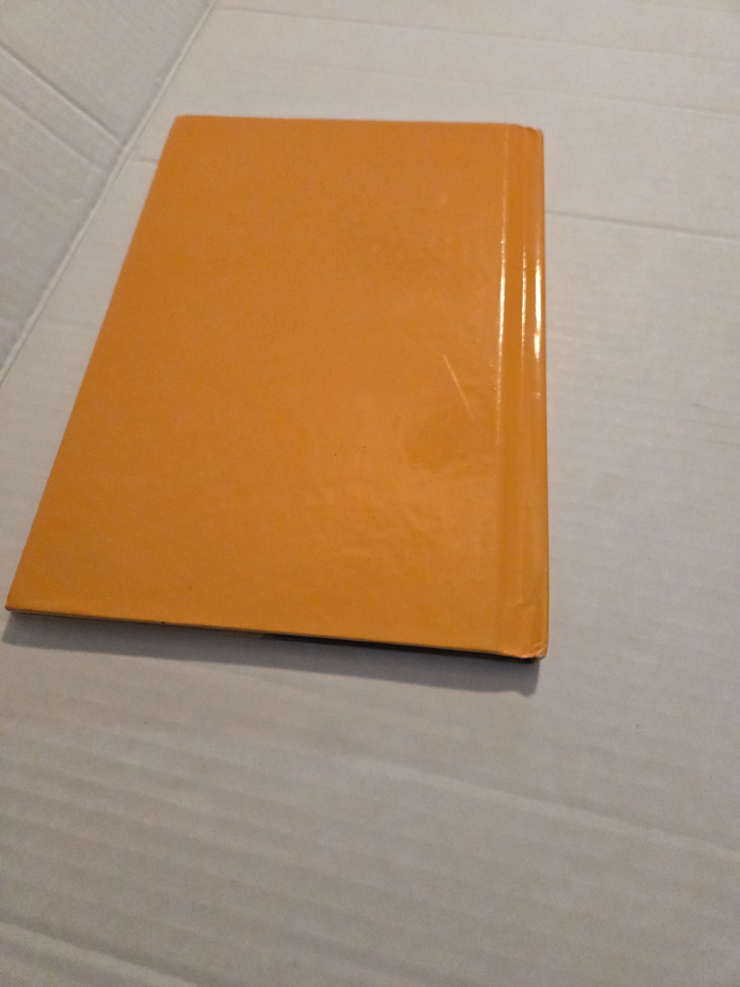 The Lion King II Simba's Pride Book