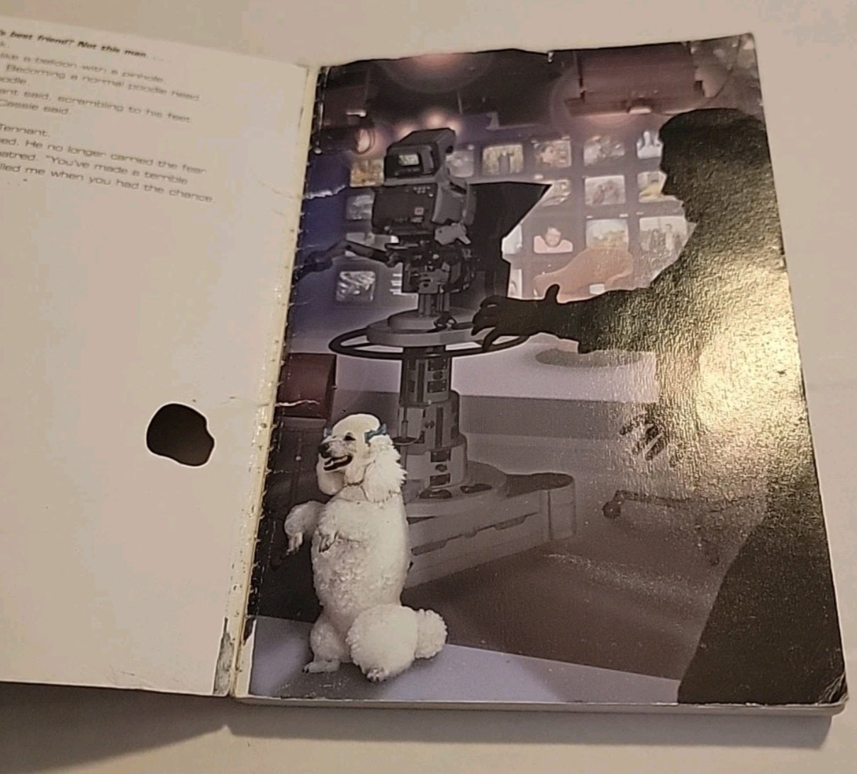 Animorphs #35: The Proposal Paperback 1999