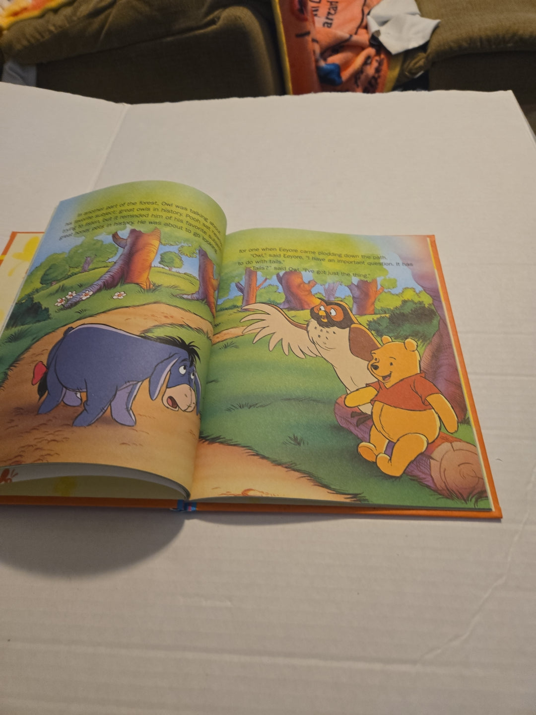 Disney's Out and About with Pooh Eeyore's Happy Tail Volume 6 Book
