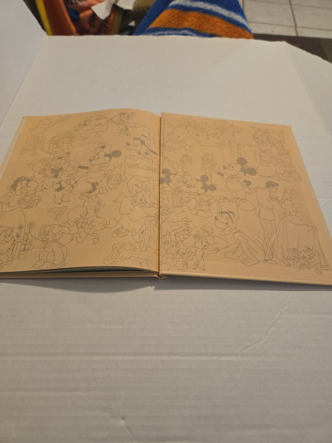 Walt Disney Fun To Learn Book Volume 5 Animals and Their Babies