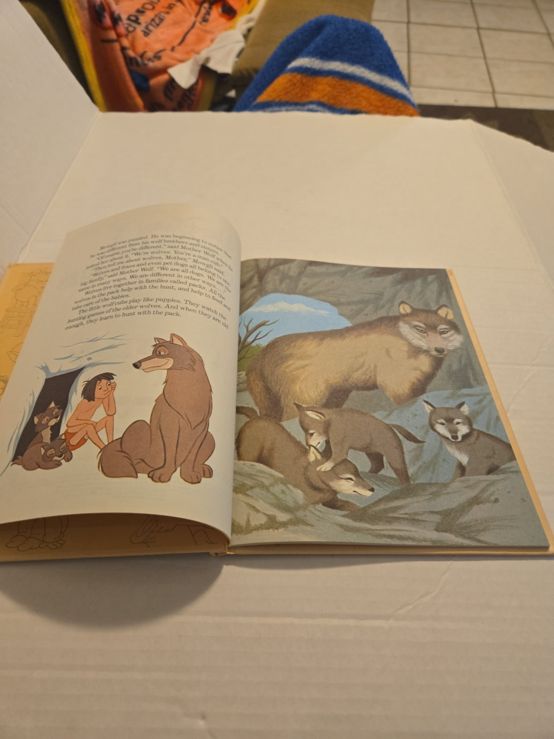 Walt Disney Fun To Learn Book Volume 5 Animals and Their Babies