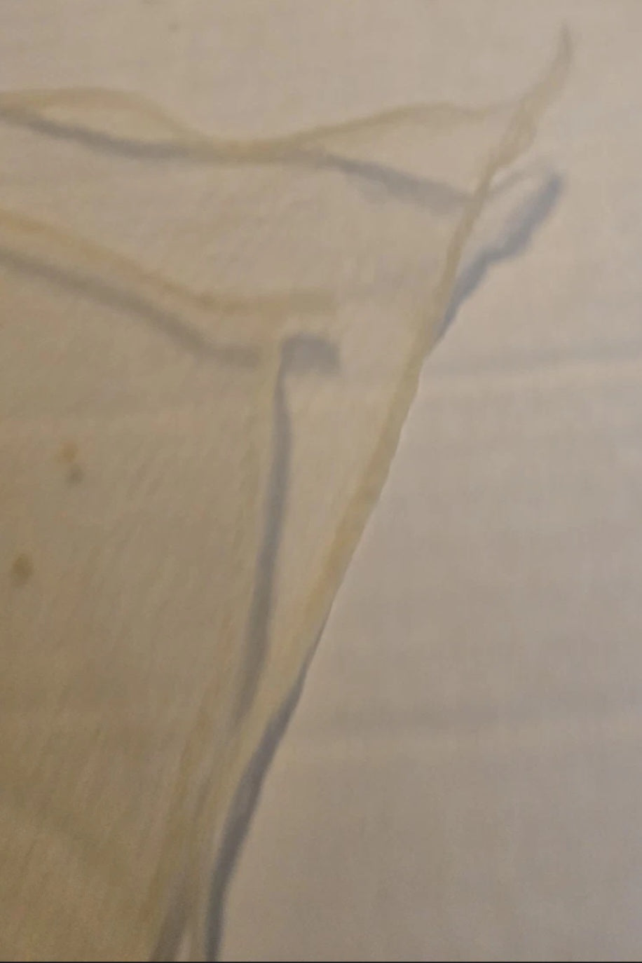 Vintage Ladies Head Scarf Pale Yellow Polka Dot 21.5x22