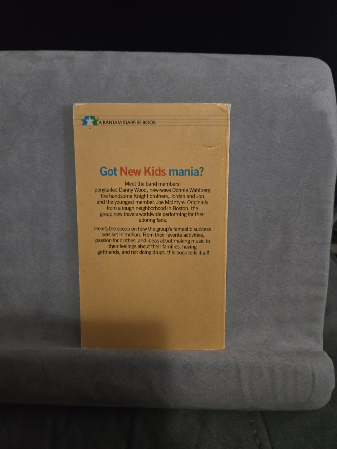 New Kids on the Block NKOTB Paperback Book Vintage 1989