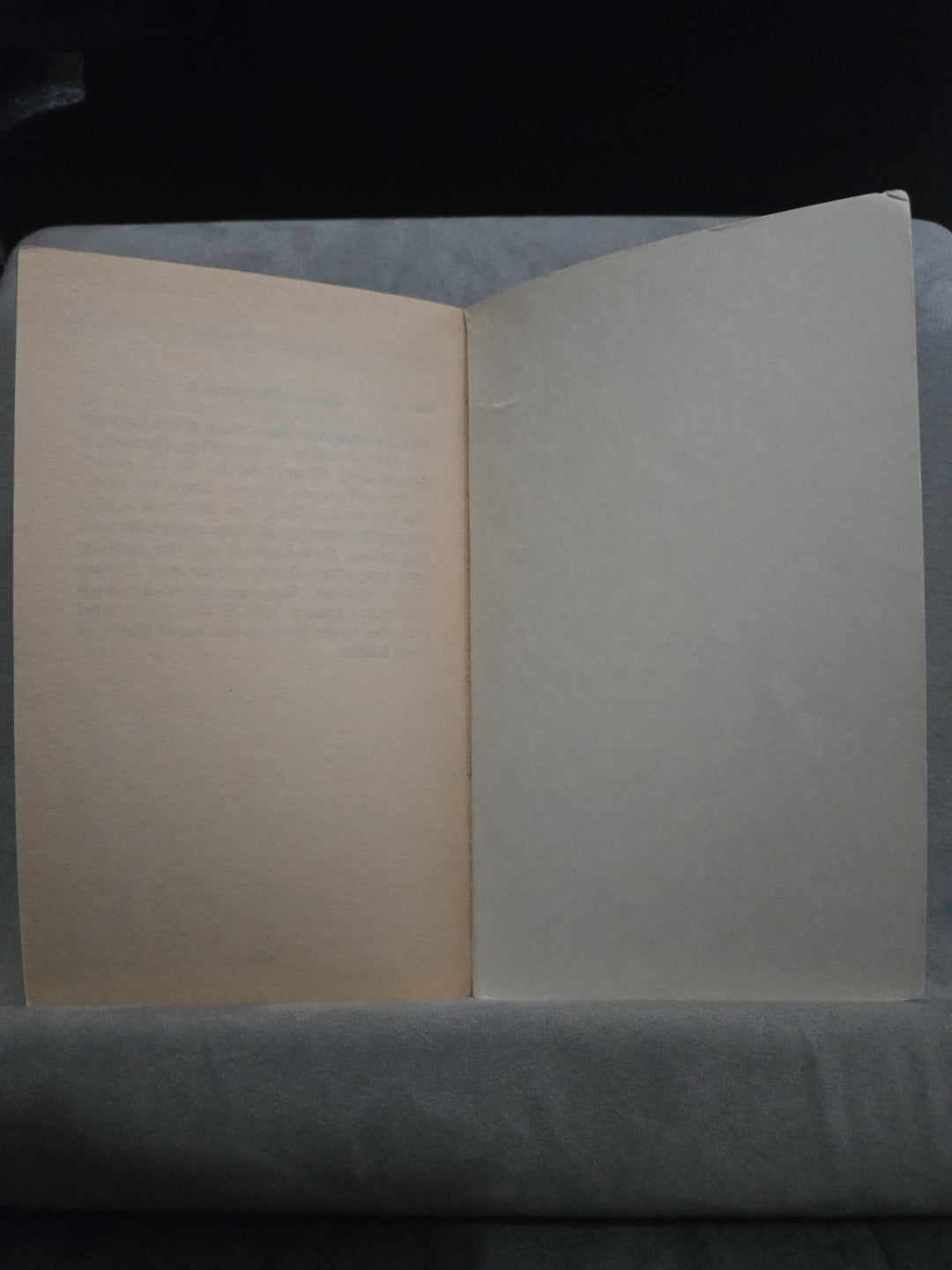 New Kids on the Block NKOTB Paperback Book Vintage 1989