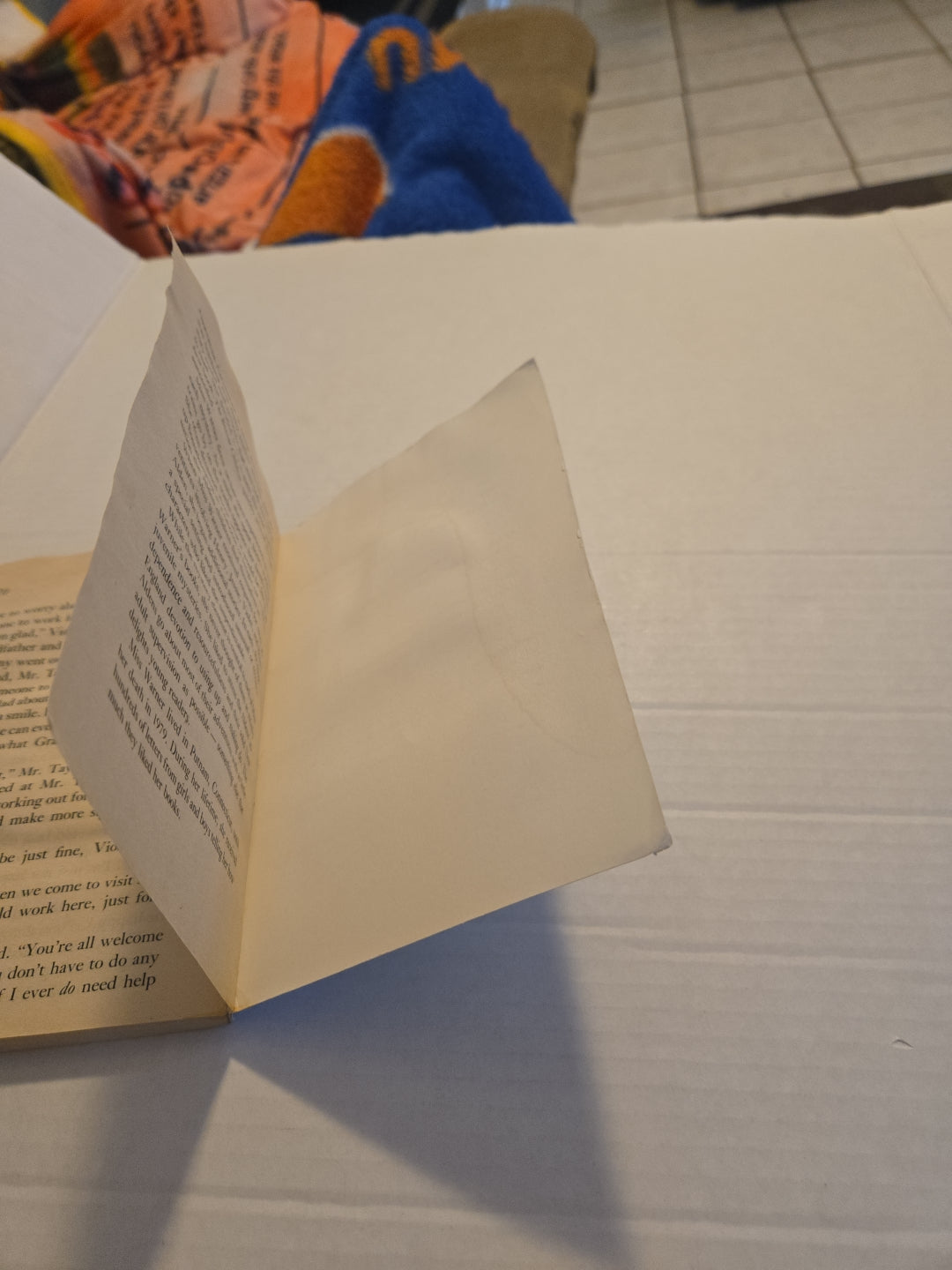 Boxcar Children Mysteries The Mystery Girl #28 Paperback Book