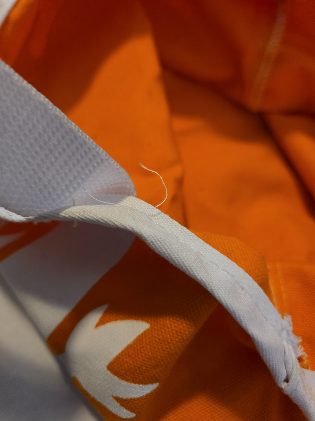 Sobe Drink Y2K Iguana Double Side Reusable Tote Bag