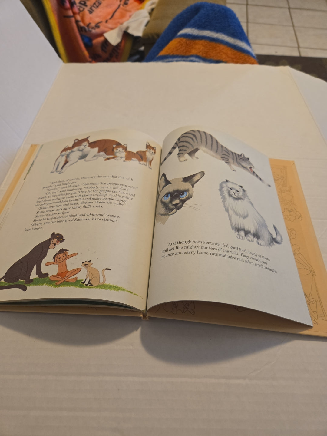 Walt Disney Fun To Learn Book Volume 5 Animals and Their Babies