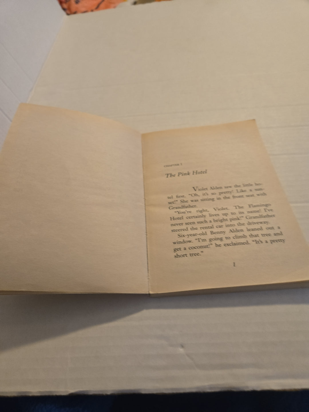 Boxcar Children Mysteries The Panther Mystery  #66 Paperback Book