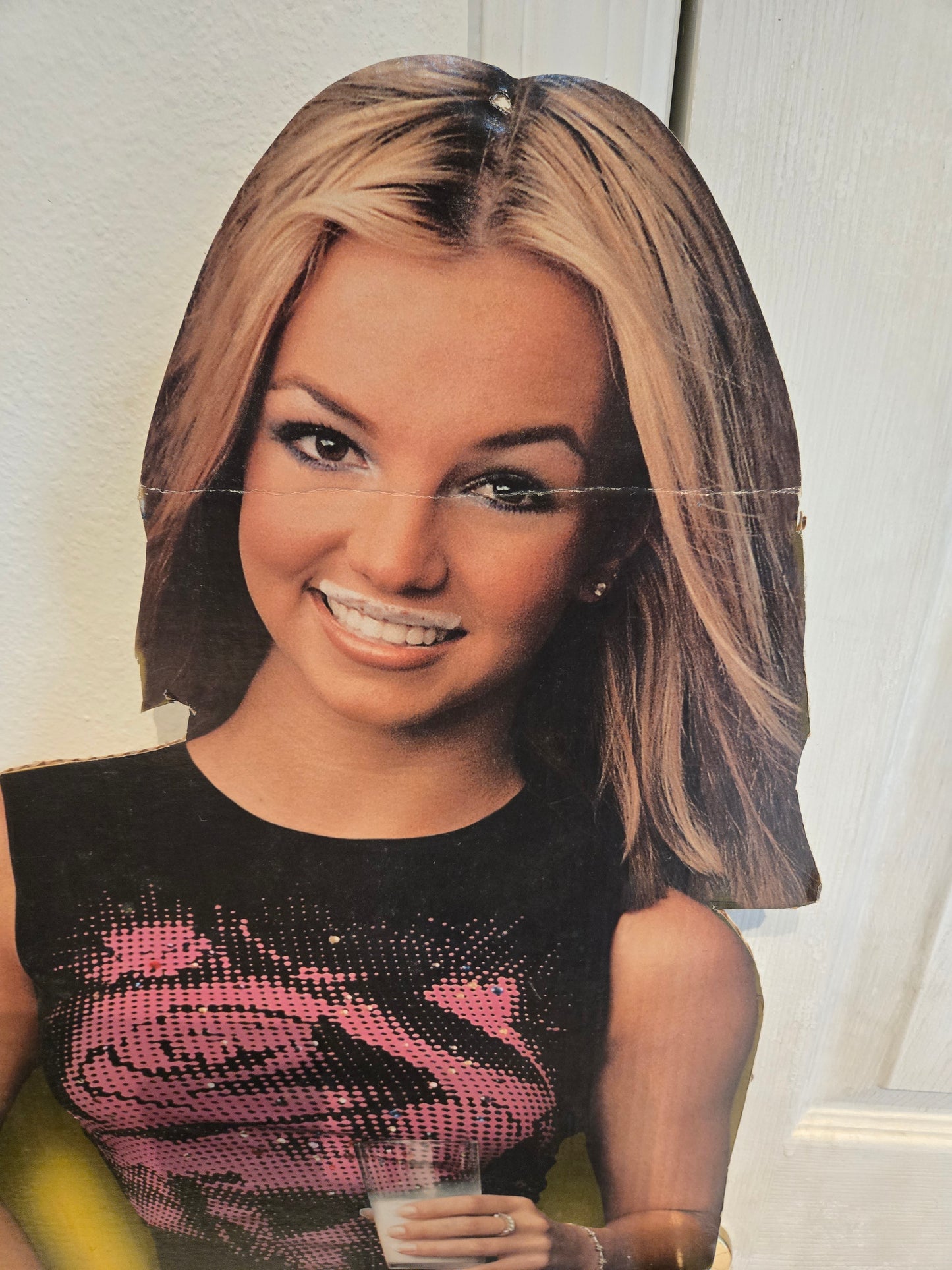 Britney Spears Got Milk? Ad Vintage Y2K Cardboard Cutout