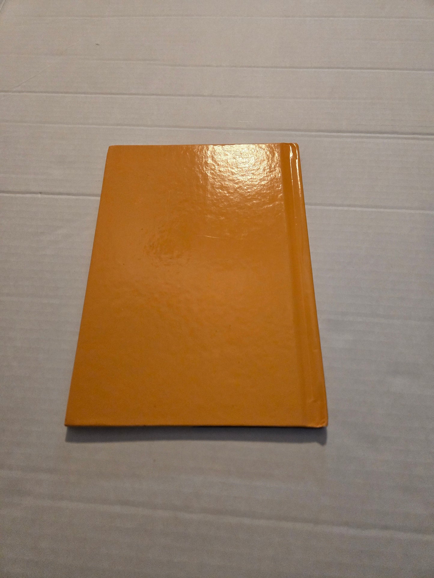 The Lion King II Simba's Pride Book