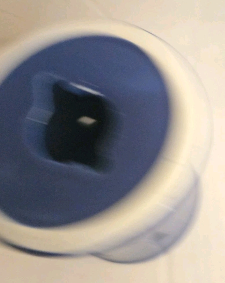 Florida Gators Scentsy Campus Collection Plug In Wax Warmer