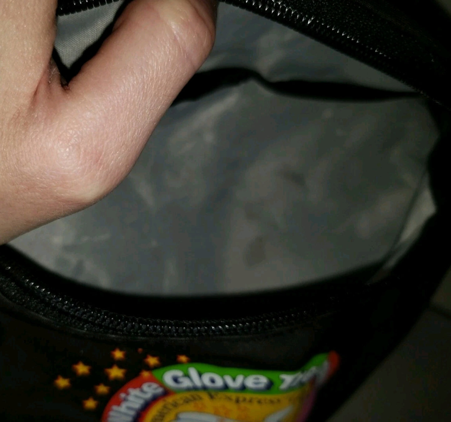 Disney's Animal Kingdom Grand Opening Fanny Pack And Inkpen