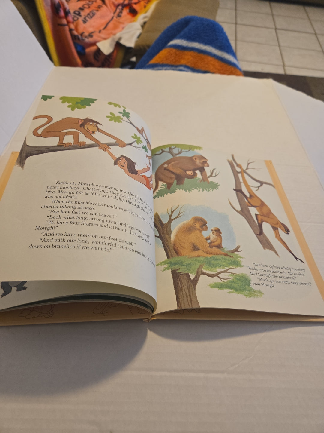 Walt Disney Fun To Learn Book Volume 5 Animals and Their Babies