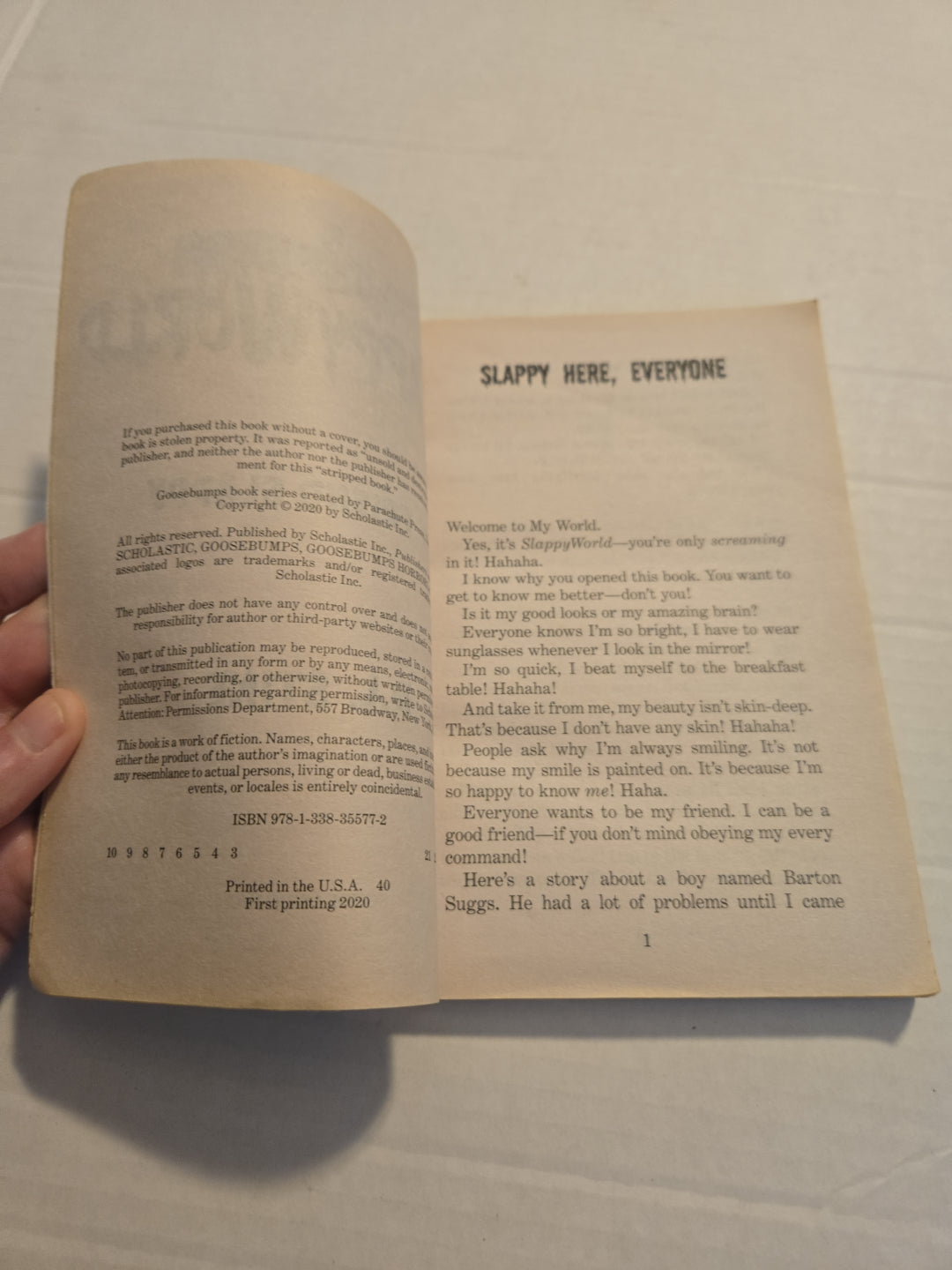 Goosebumps Slappy World Book Lot Of  2 Paperback Books