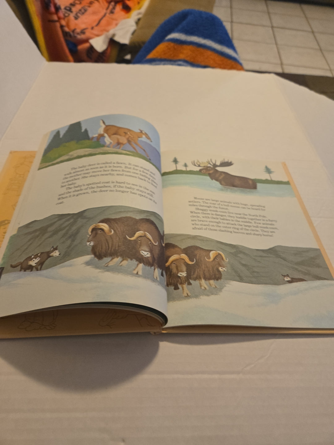 Walt Disney Fun To Learn Book Volume 5 Animals and Their Babies