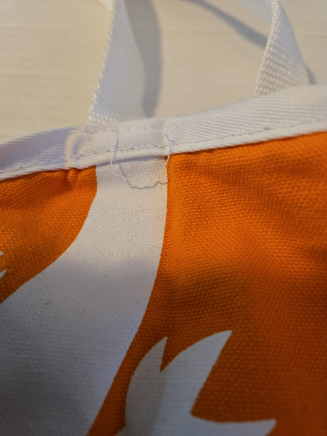 Sobe Drink Y2K Iguana Double Side Reusable Tote Bag