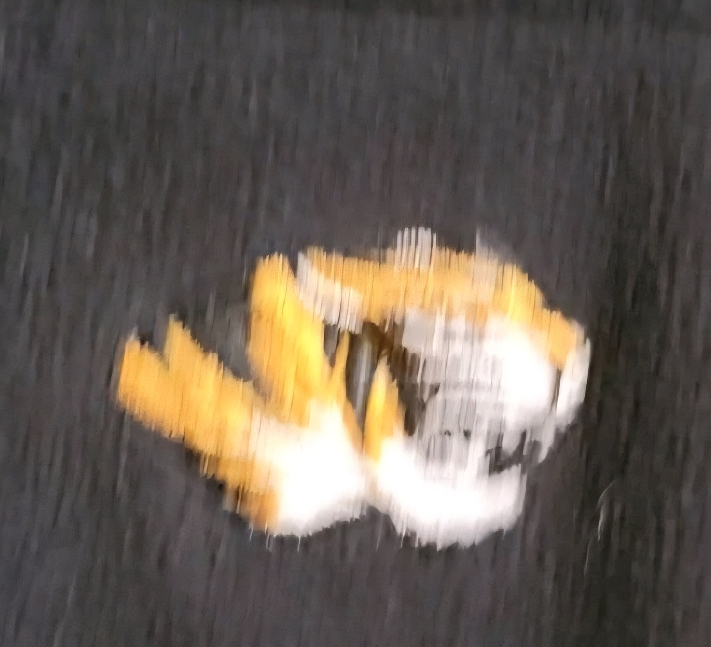 Columbia Womens Black Fleece Jacket Missouri Tigers Size Medium